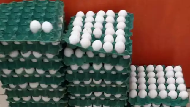 El abastecimiento de huevo en Quintana Roo ha comenzado a normalizarse luego de la escasez por la gripe aviar