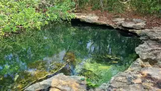 Actualmente, el Estado cuenta con 27 reservas especiales