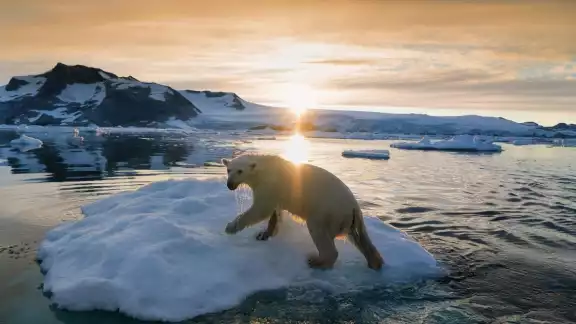 Groenlandia envía hielo glaciar a bares de Dubái
