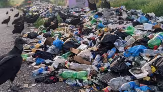 Alerta en Campeche: Basureros clandestinos podrían provocar cáncer y leucemia por contaminación del agua
