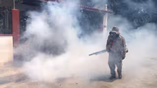 Dengue en Quintana Roo: Reportan ocho nuevos casos confirmados