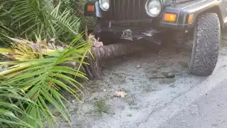 Las jóvenes conducían un Jeep rentado y se ignora si se encontraban en estado inconveniente