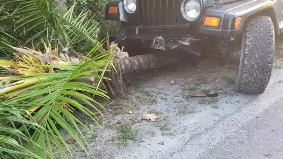 Las jóvenes conducían un Jeep rentado y se ignora si se encontraban en estado inconveniente Las jóvenes conducían un Jeep rentado y se ignora si se encontraban en estado inconveniente