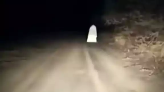 Colonos han avistado un perro negro en las cercanías del puente