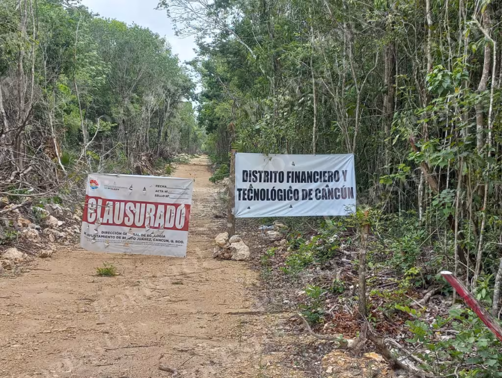 Sheinbaum frena ubicación del Distrito Financiero de Cancún: “esa selva hay que cuidarla”