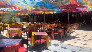 Temporada baja pega al turismo de Quintana Roo: Trabajadores enfrentan “descansos solidarios” y vacaciones adelantadas