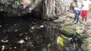 Basura y abandono deterioran los cenotes de Cancún