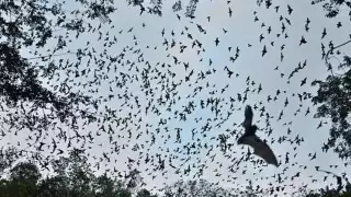 Todo nace de un cenote seco. Foto: Especial