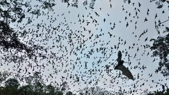 Todo nace de un cenote seco. Foto: Especial