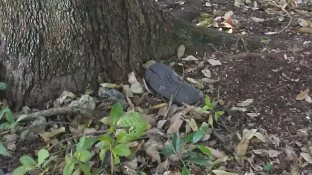 Al lugar arribaron elementos de la policía estatal