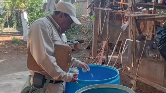 Secretaría de Salud exhorta a eliminar criaderos para frenar el dengue Secretaría de Salud exhorta a eliminar criaderos para frenar el dengue