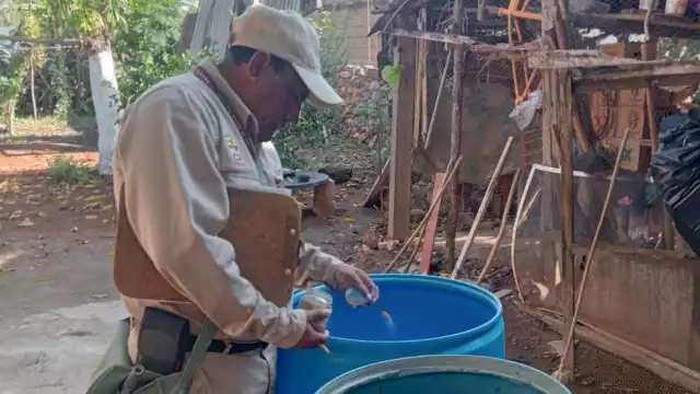 Secretaría de Salud exhorta a eliminar criaderos para frenar el dengue