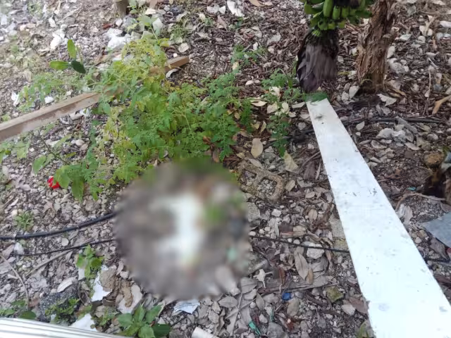 Los casos generaron indignación entre vecinos