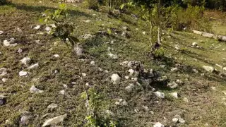 FOTO: Secretaría de Cultura