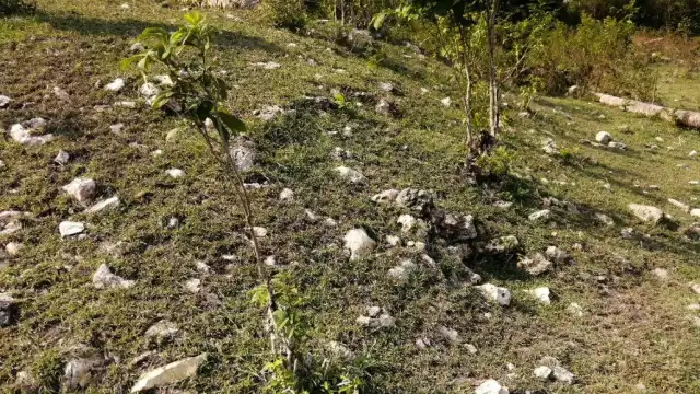 FOTO: Secretaría de Cultura