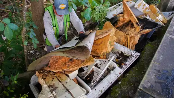 Partes de electrodomésticos y residuos sólidos son parte de los desechos hallados en los basureros clandestinos de Cozumel Partes de electrodomésticos y residuos sólidos son parte de los desechos hallados en los basureros clandestinos de Cozumel
