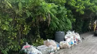 El Director de Servicios Públicos, Pedro Canché Cardeña, no ofreció información. Tampoco dijo nada sobre la acumulación de residuos en la Estación de Transferencia