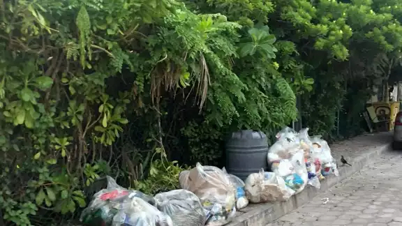 El Director de Servicios Públicos, Pedro Canché Cardeña, no ofreció información. Tampoco dijo nada sobre la acumulación de residuos en la Estación de Transferencia El Director de Servicios Públicos, Pedro Canché Cardeña, no ofreció información. Tampoco dijo nada sobre la acumulación de residuos en la Estación de Transferencia