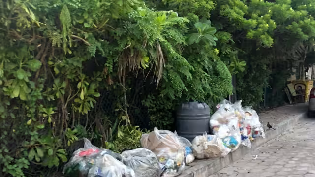 El Director de Servicios Públicos, Pedro Canché Cardeña, no ofreció información. Tampoco dijo nada sobre la acumulación de residuos en la Estación de Transferencia