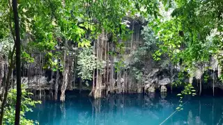 El cenote Yokdzonot es uno de los más hermosos de Yucatán