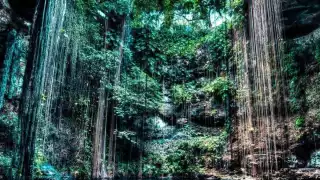 Tres cenotes de la península de Yucatán que tienes que conocer en su reapertura