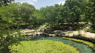 El cenote Xlacah se encuentra en la superficie y tiene 100 m de largo y 10 m de profundidad