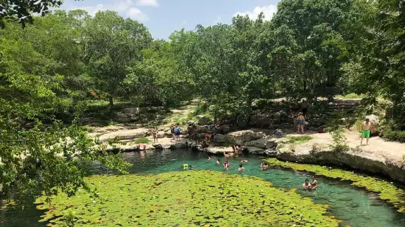 El cenote Xlacah se encuentra en la superficie y tiene 100 m de largo y 10 m de profundidad El cenote Xlacah se encuentra en la superficie y tiene 100 m de largo y 10 m de profundidad