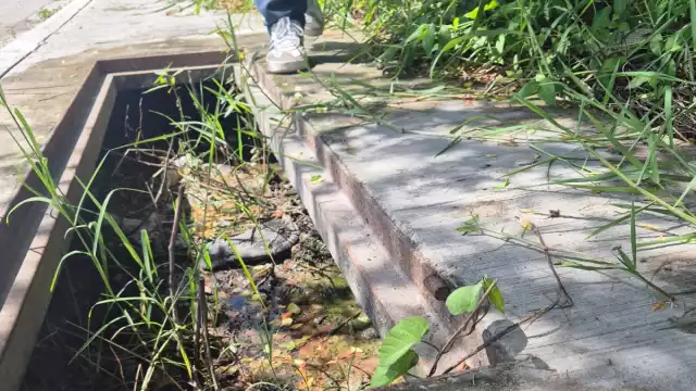 En varios puntos de Champotón, los registros de drenaje sobre banquetas permanecen abiertos y sin atención, pese a los reportes ciudadanos.