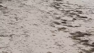 Las playas lucieron vacías