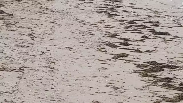 Las playas lucieron vacías