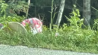 Con este hallazgo, Tulum suma 76 homicidios dolosos