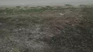 El hombre murió al instante del ataque