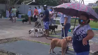 Campaña Antirrábica en la Colonia Miraflores de Cozumel