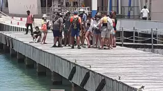 Ultramar implementó  corridas extras de Playa a Cozumel