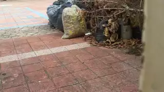 Directores y subordinados toman acuerdos de último momento para definir cómo será el anhelado retorno a clases presenciales