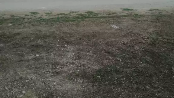 El hombre murió al instante del ataque El hombre murió al instante del ataque