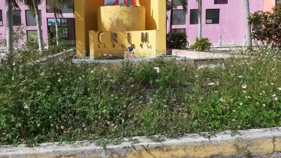 A este lugar acuden todos los días niños, jóvenes y adultos de todas las edades