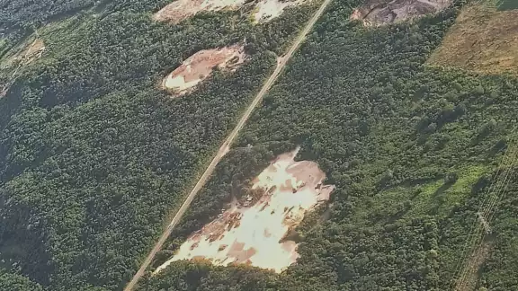 En algunas zonas se observa la devastación de árboles y la explotación de material petreo en Juan Sarabia, Q.Roo En algunas zonas se observa la devastación de árboles y la explotación de material petreo en Juan Sarabia, Q.Roo