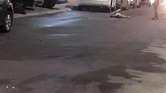 La Policía Municipal en Playa del Carmen presume que el hombre pudo haberse suicidado al lanzarse del tercer piso de un edificio La Policía Municipal en Playa del Carmen presume que el hombre pudo haberse suicidado al lanzarse del tercer piso de un edificio