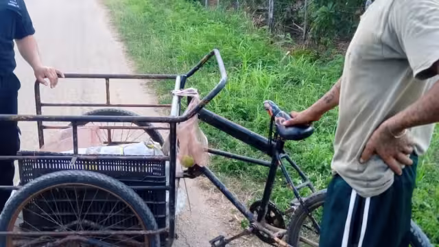 Al ser interrogado por la policía de Tzucacab, el sujeto reconoció que bajó el fruto de varios predios