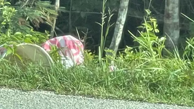 Con este hallazgo, Tulum suma 76 homicidios dolosos