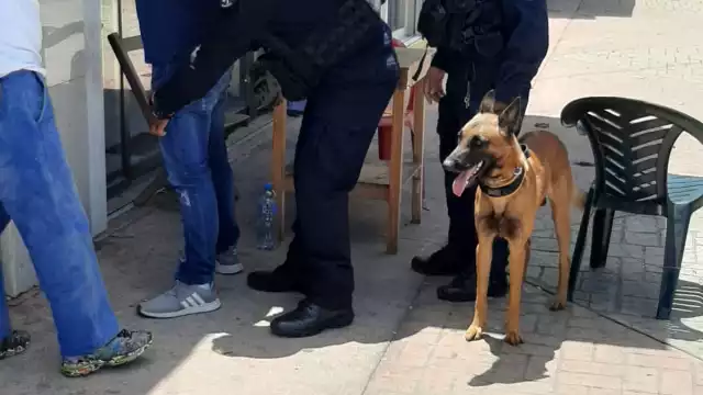 Los binomios, junto a sus respectivos instructores, recorrieron el interior del parque Benito Juárez