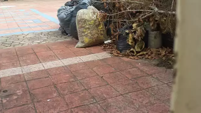 Directores y subordinados toman acuerdos de último momento para definir cómo será el anhelado retorno a clases presenciales