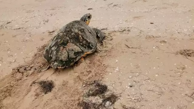 Fotos: Jesús López