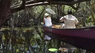 Yum Balam es una experiencia diferente a lo que ofrecen los complejos turísticos