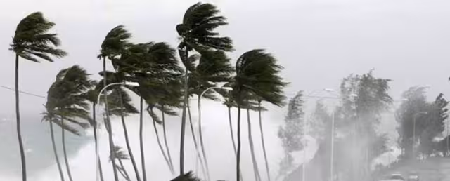 Bery alcanzaría la categoría en los próximos días