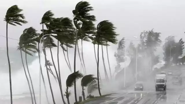 Bery alcanzaría la categoría en los próximos días