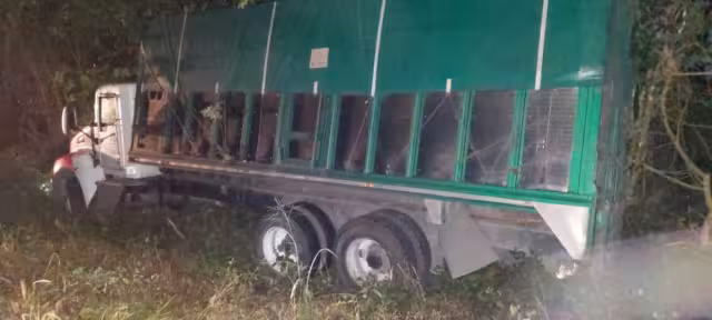 No se registraron personas heridas