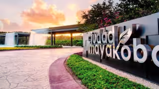 Los permisos se dieron durante las administraciones de las exalcaldesas Cristina Torres Gómez  de Laura Beristain Navarrete