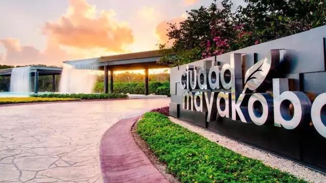 Los permisos se dieron durante las administraciones de las exalcaldesas Cristina Torres Gómez  de Laura Beristain Navarrete